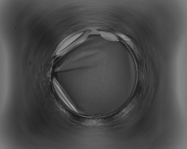 X0000087011369200705071517