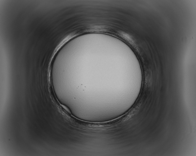 X0000087011370200705071517