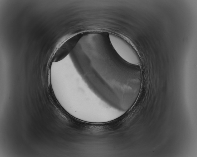 X0000087011371200705071517