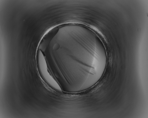 X0000087011372200705071517