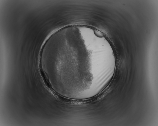 X0000087011374200705071517