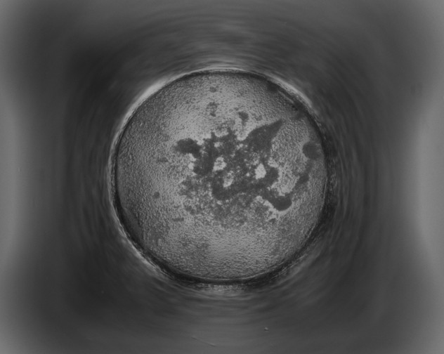 X0000087011375200705071517