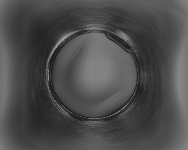 X0000087011376200705071517