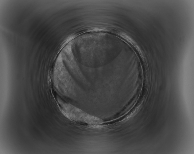 X0000087011377200705071517