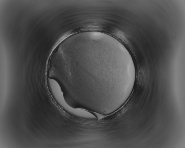 X0000087011378200705071517