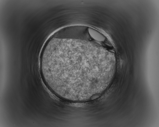 X0000087011380200705071517