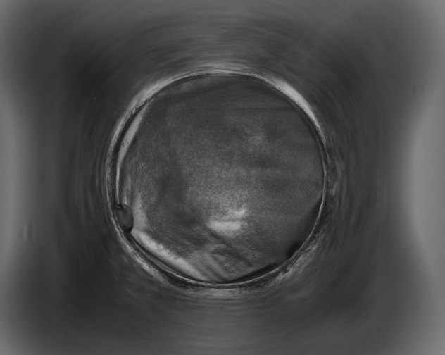 X0000087011381200705071517