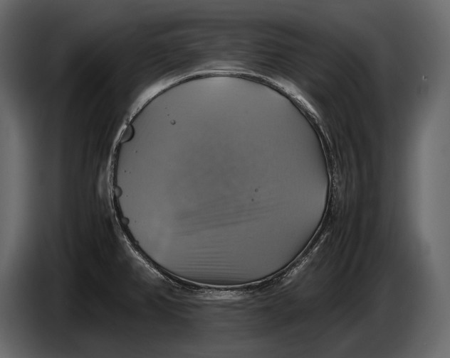 X0000087011382200705071517