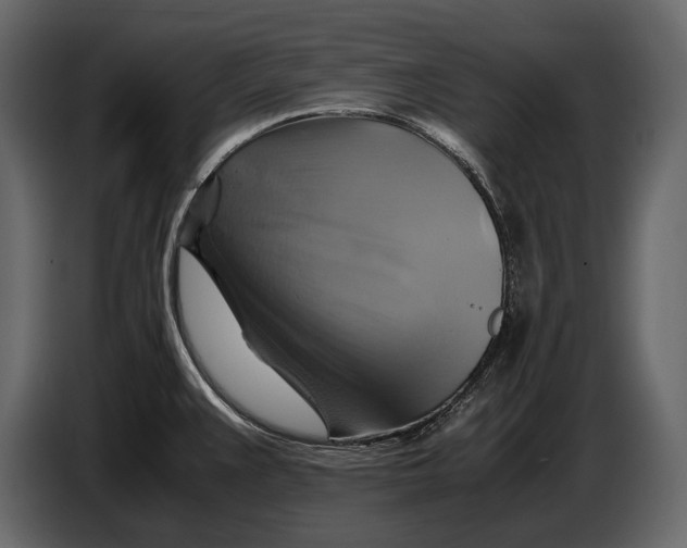 X0000087011383200705071517