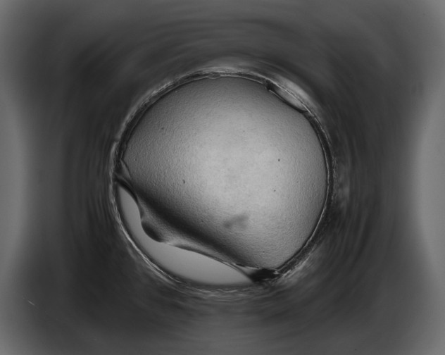 X0000087011384200705071517