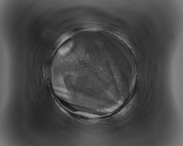 X0000087011385200705071517