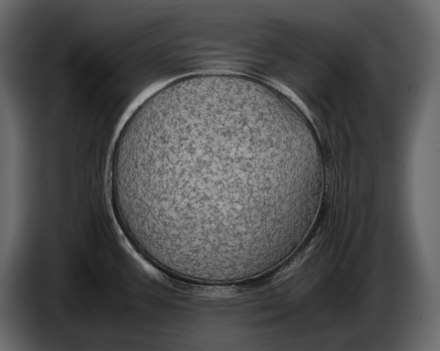 X0000087011387200705071517