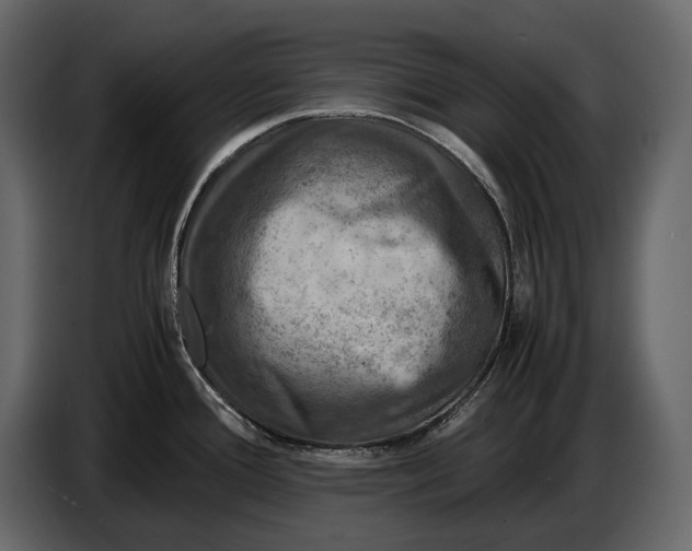 X0000087011388200705071517