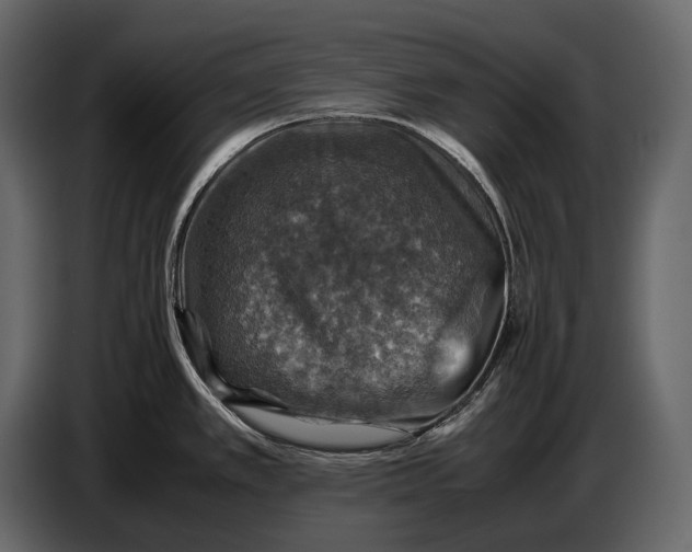 X0000087011389200705071517