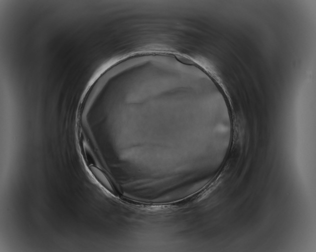 X0000087011390200705071517