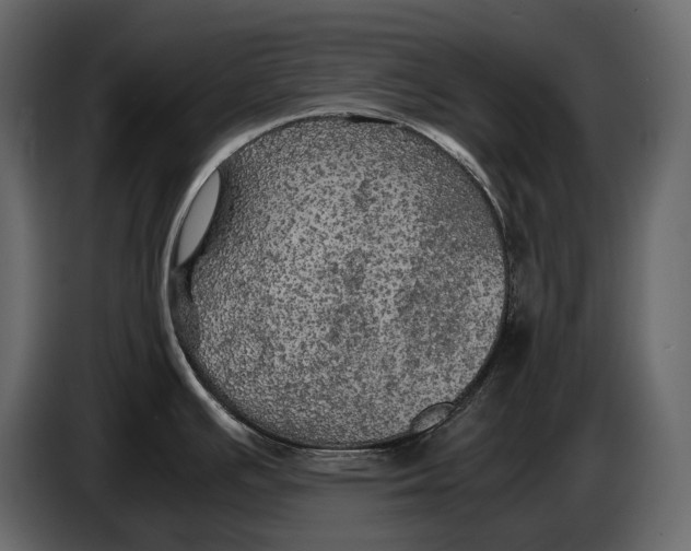 X0000087011391200705071517