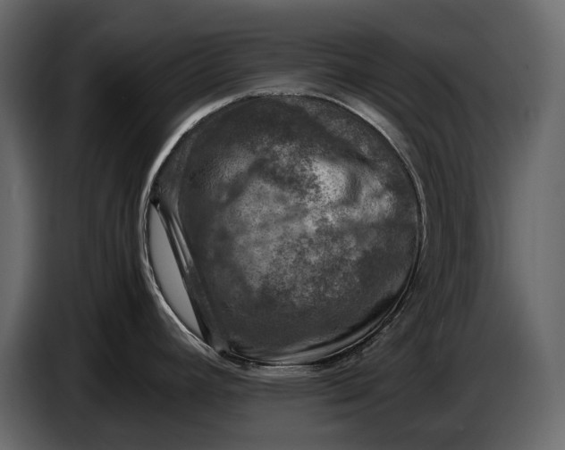 X0000087011392200705071517