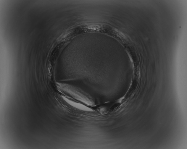 X0000087011394200705071516