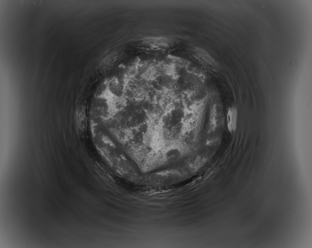 X0000087011395200705071516