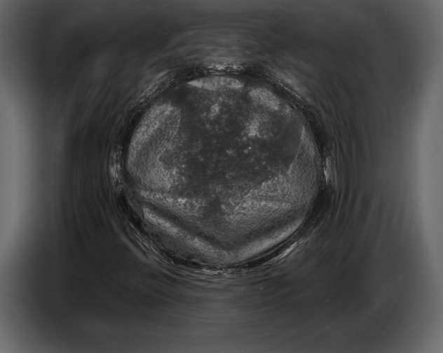 X0000087011396200705071516