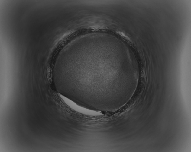 X0000087011398200705071516