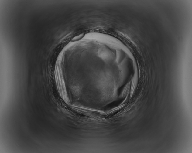 X0000087011399200705071516