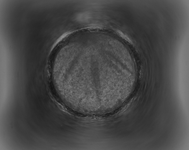 X0000087011400200705071516