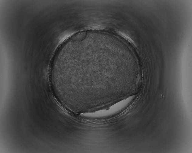 X0000087011404200705071517