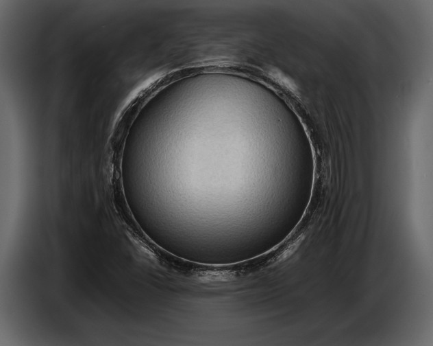 X0000087011406200705071517