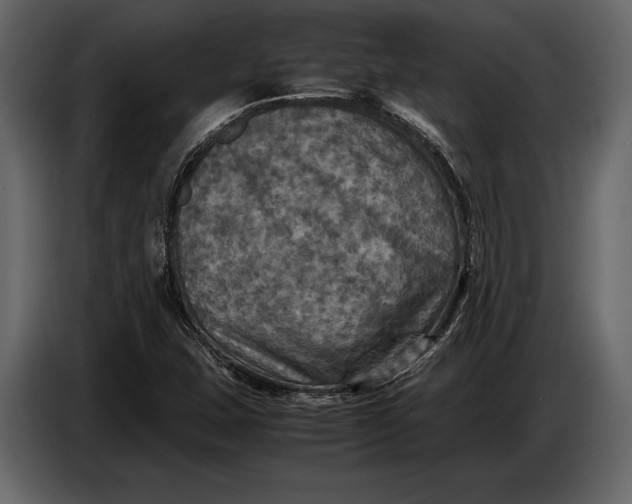 X0000087011407200705071517