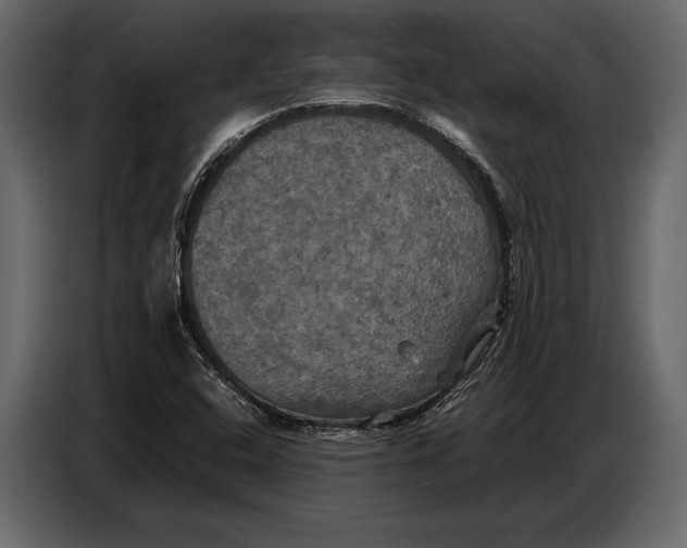 X0000087011408200705071517