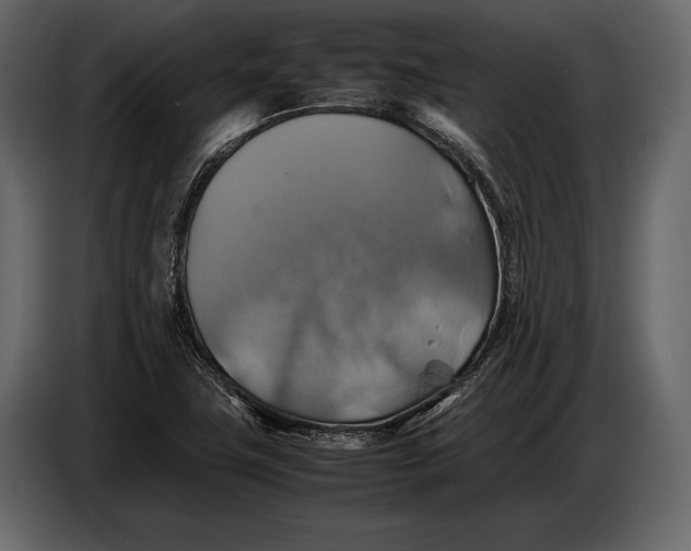 X0000087011411200705071517