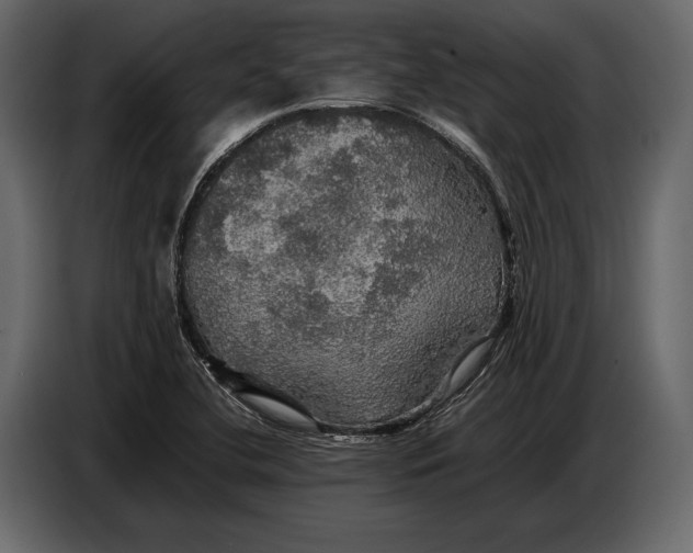 X0000087011412200705071517