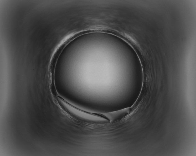 X0000087011414200705071517