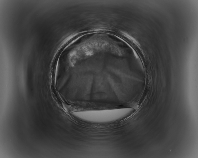 X0000087011415200705071517