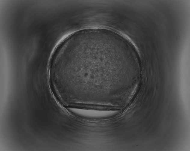 X0000087011416200705071517