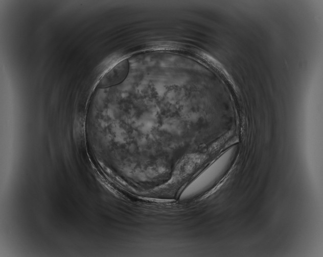 X0000087011417200705071517