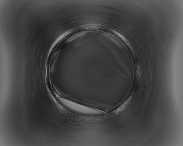 X0000087011418200705071517