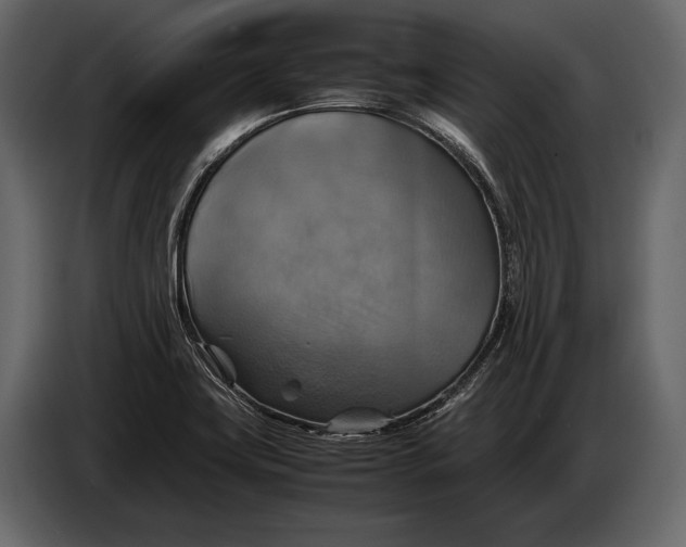 X0000087011419200705071517