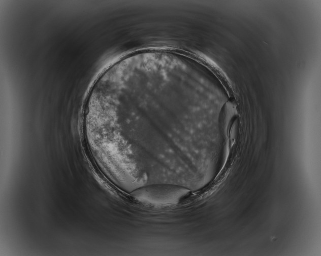 X0000087011421200705071517