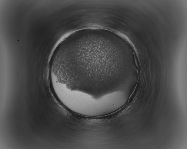 X0000087011424200705071517