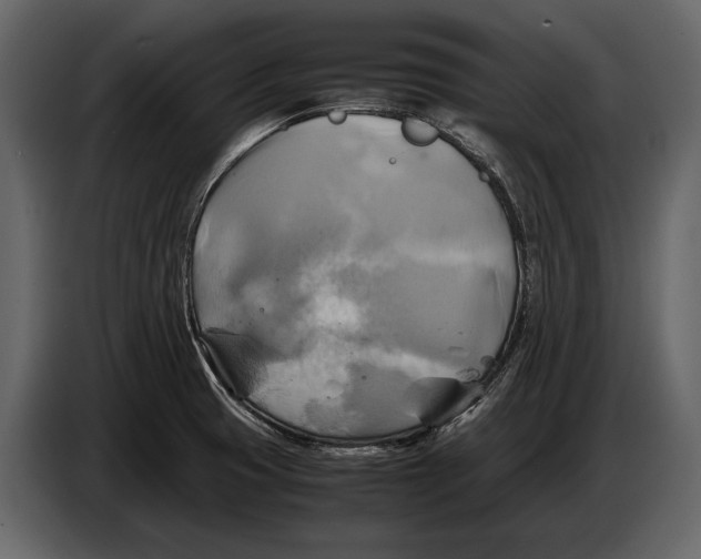 X0000087011425200705071517