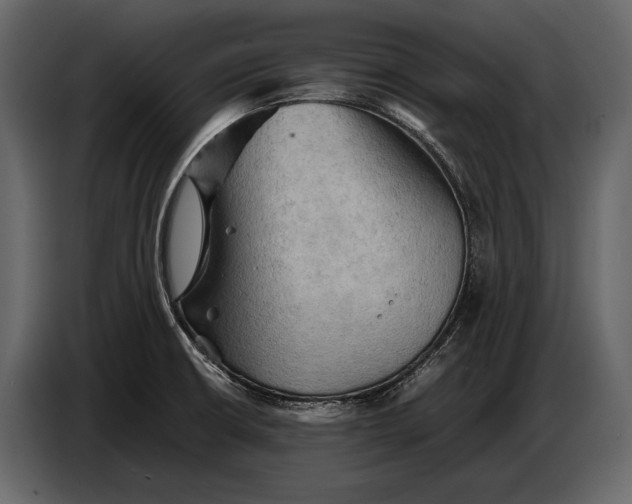 X0000087011426200705071517