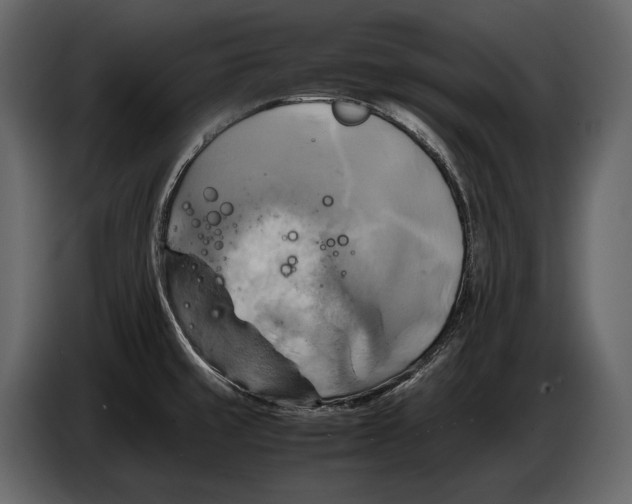 X0000087011429200705071517