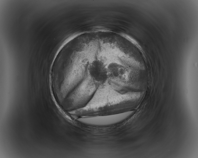 X0000087011431200705071517