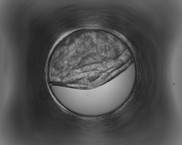 X0000087011432200705071517