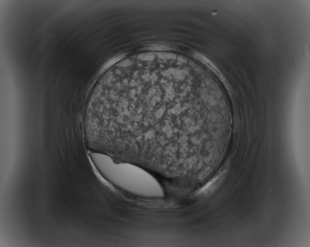 X0000087011433200705071517