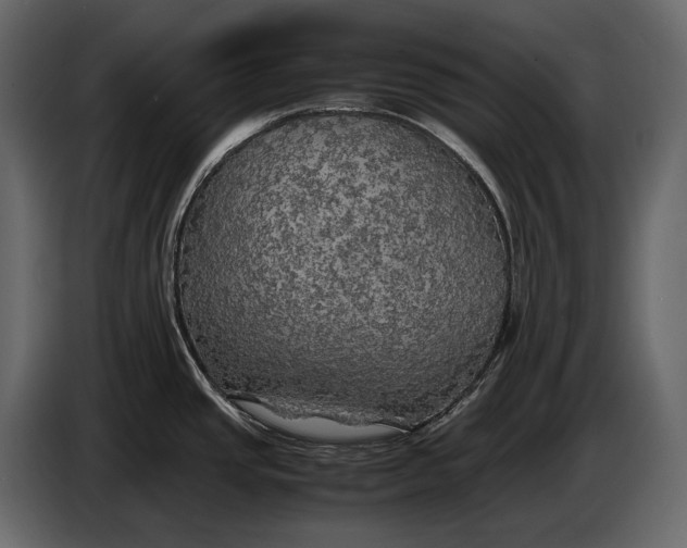 X0000087011437200705071517