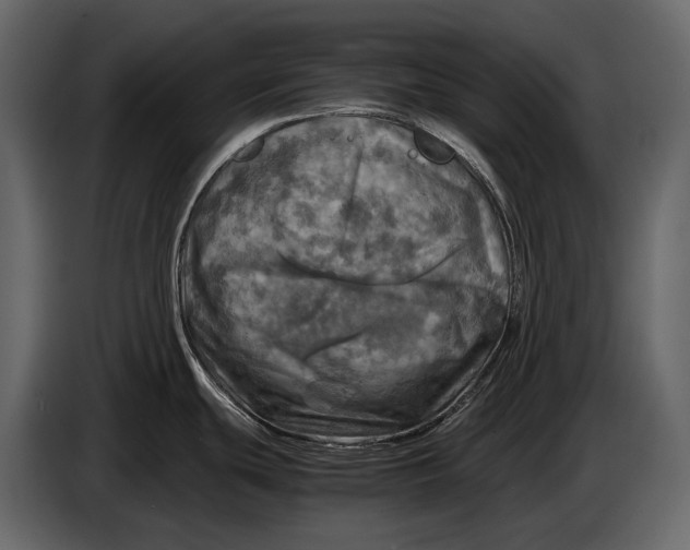 X0000087011439200705071517