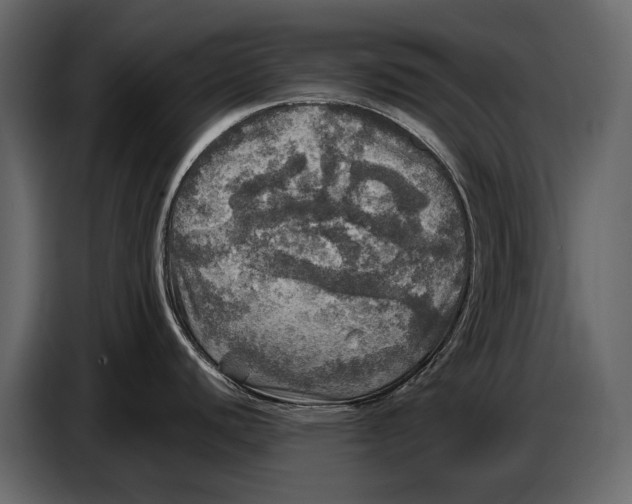 X0000087011440200705071517